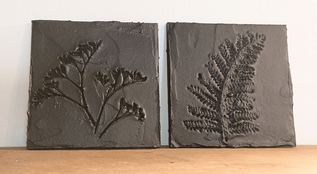 BLACK FERN