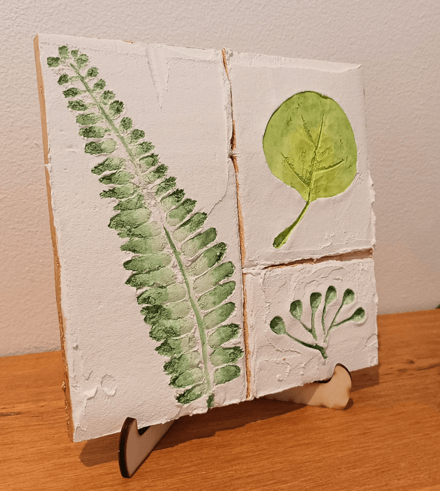 HERBIER_3