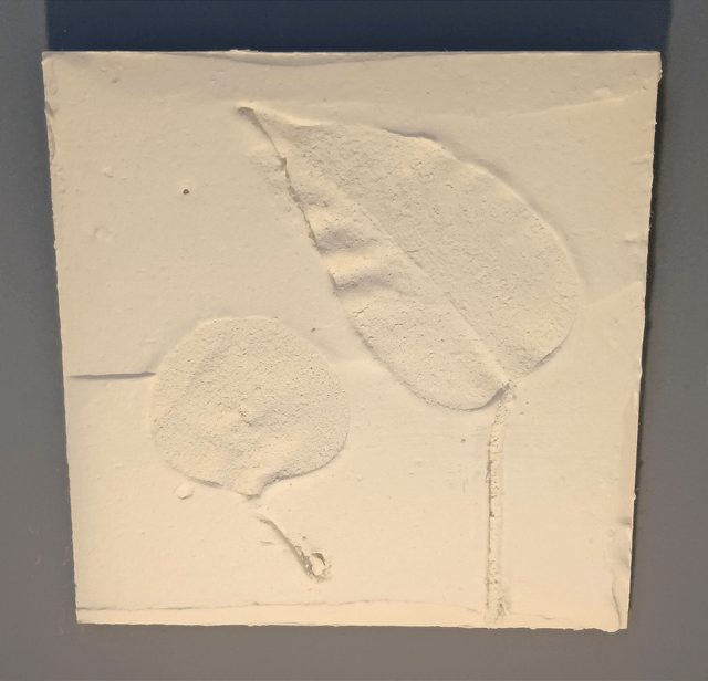 PETITE BLANCHE_2