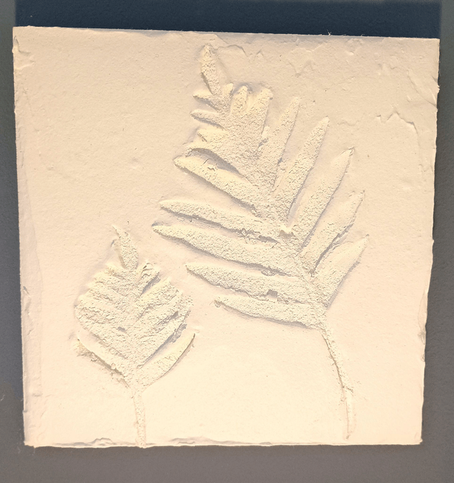 PETITE BLANCHE_6