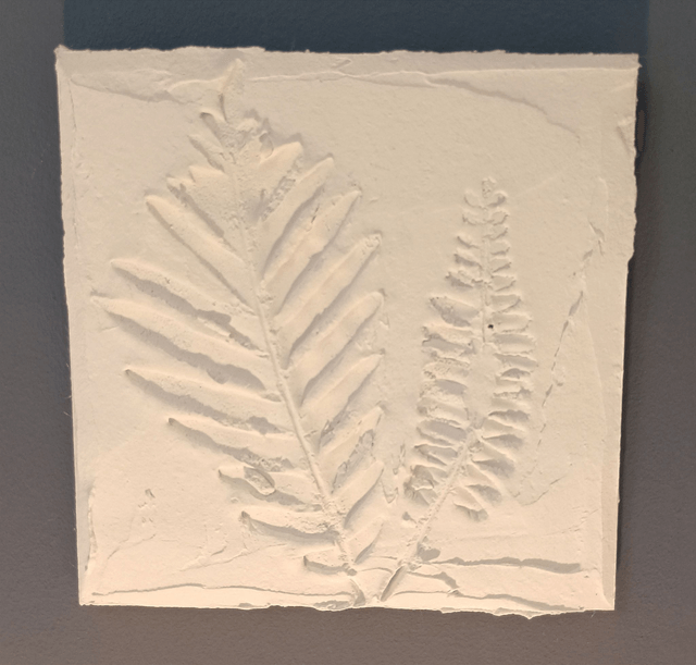PETITE BLANCHE_7
