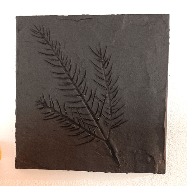 BLACK BRANCH
