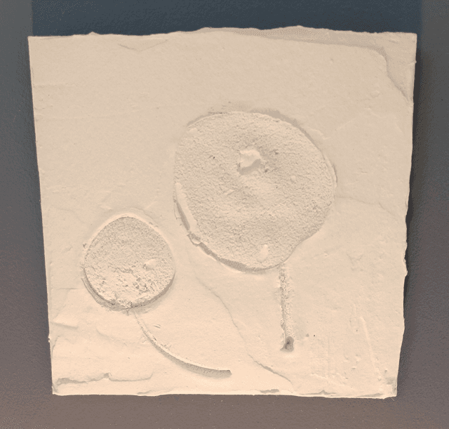 PETITE BLANCHE_5