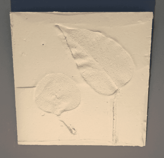 PETITE BLANCHE_2