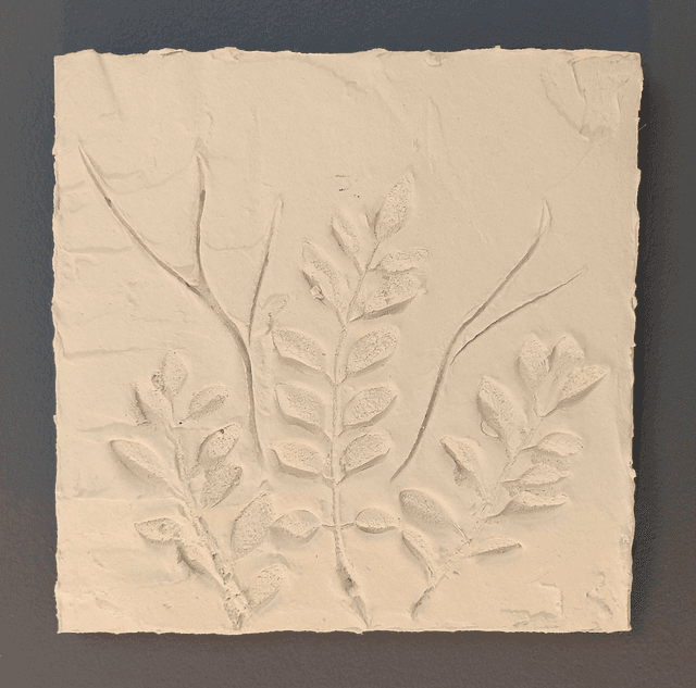 PETITE BLANCHE_4