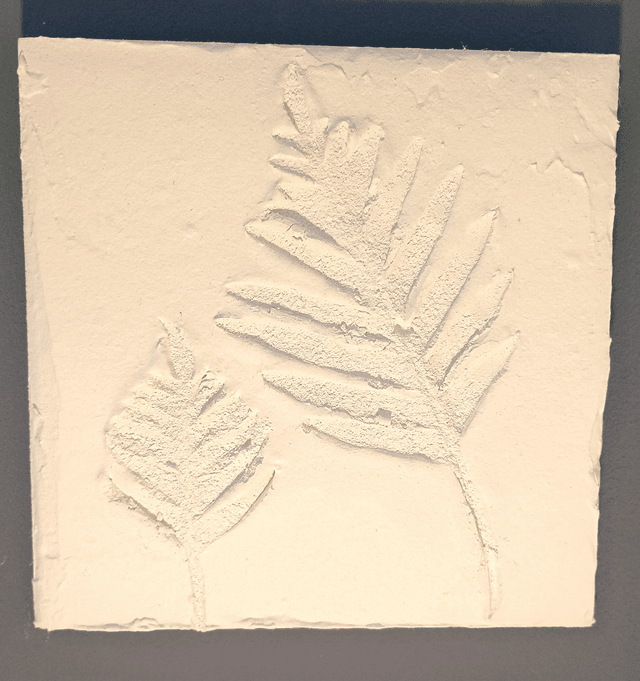 PETITE BLANCHE_6