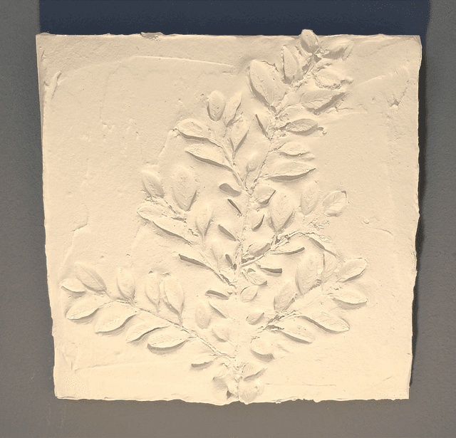 PETITE BLANCHE_3