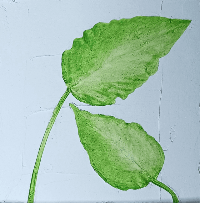 PETIT EPIPREMNUM VERT