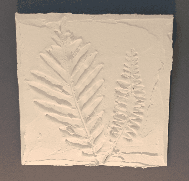 PETITE BLANCHE_7
