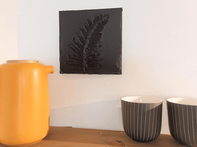 BLACK FERN
